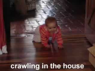 camille crawling in house